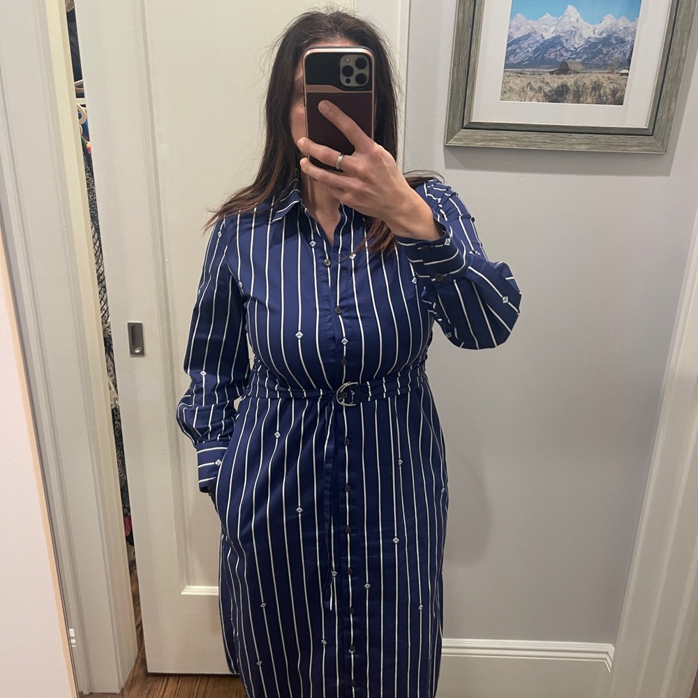 Derek Lam Blue Striped Long Sleeve Dress